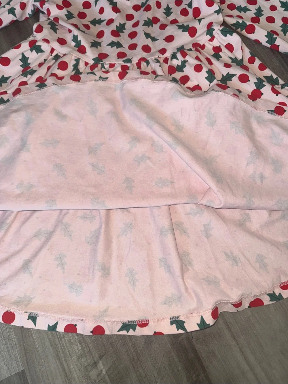 Hanna Andersson Pink Snowberries long-sleeve skater twirl dress 6-7 girls